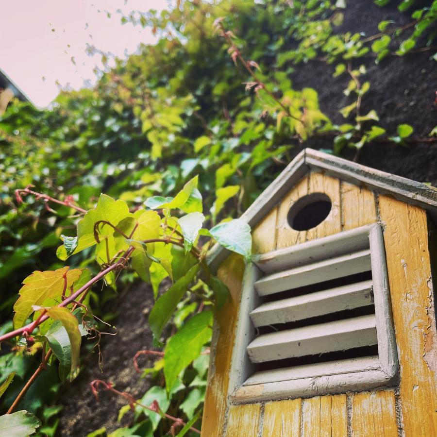 La Maison Aux Murs Anciens Et Ses Chambres Tarbes Exterior foto